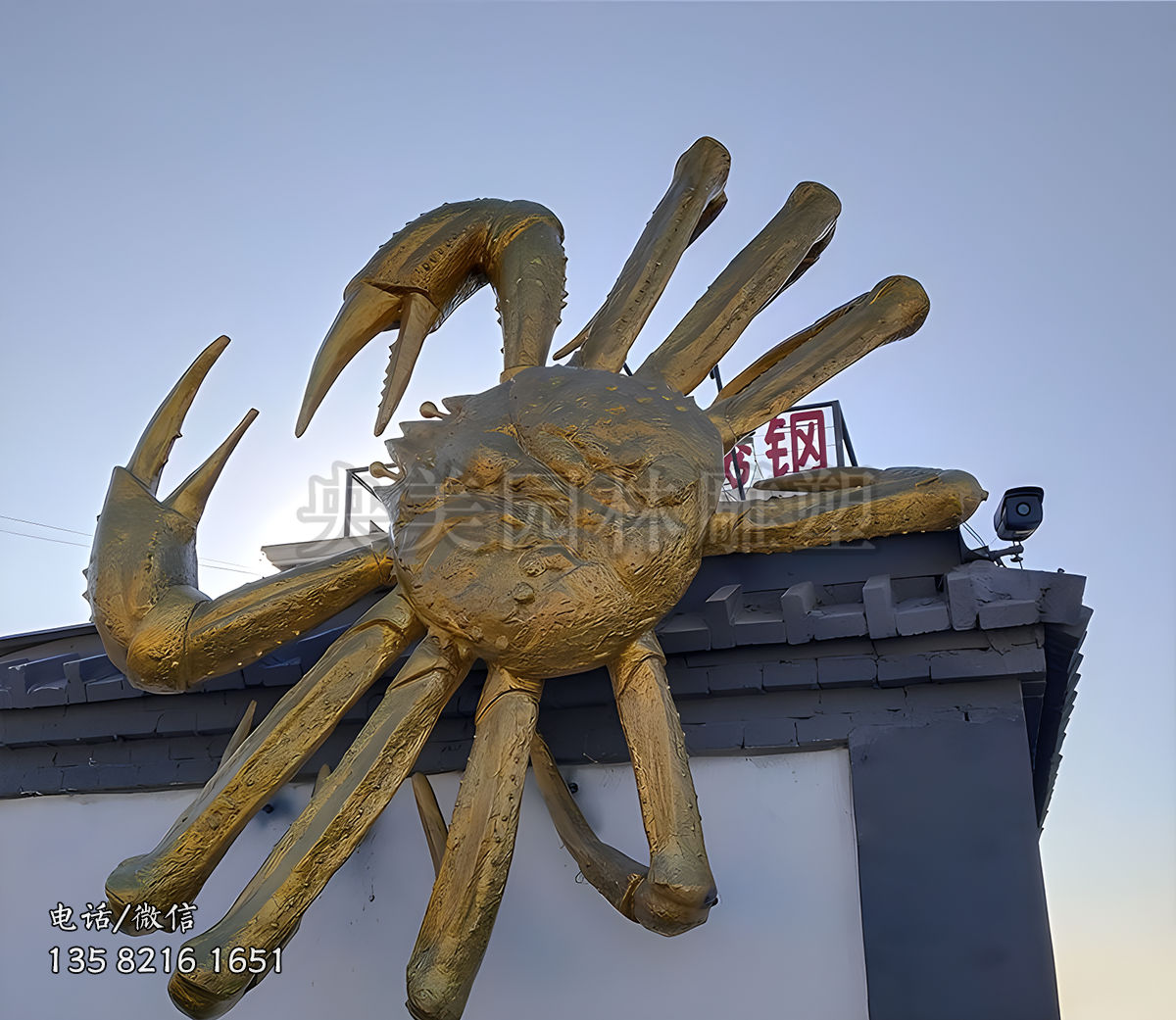 不銹鋼爬取螃蟹