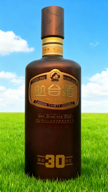 玻璃鋼仿真酒瓶雕塑 (14)