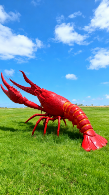 玻璃鋼龍蝦雕塑 (20)