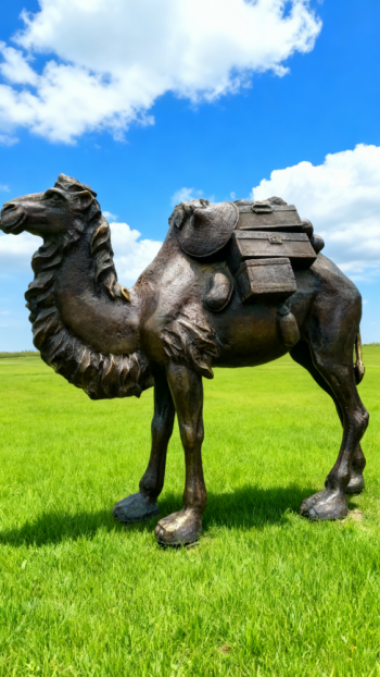 玻璃鋼駱駝仿銅雕塑 (11)