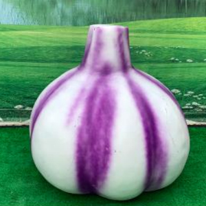 仿真大蒜 玻璃鋼