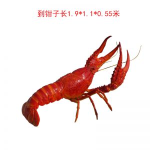 仿真龍蝦玻璃鋼